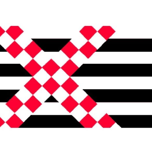 Vlag Loosdrecht 200x300cm