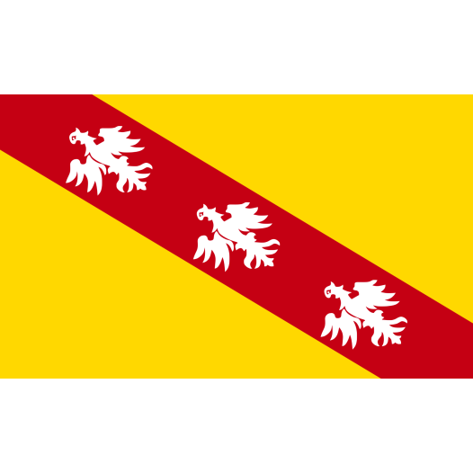 Vlag Lotharingen 100x150cm