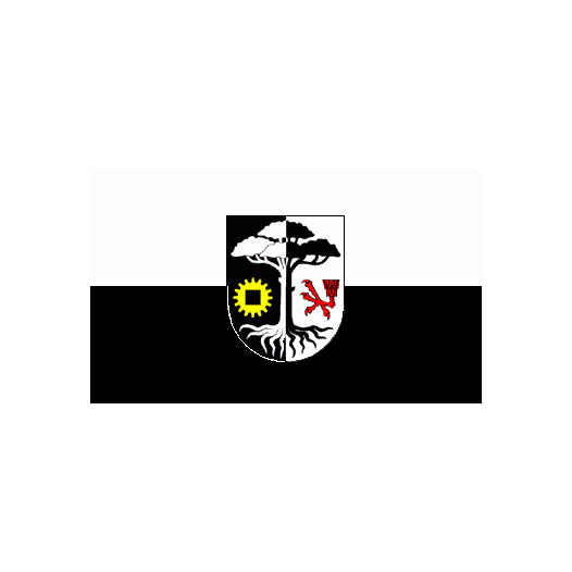 Vlag Ludwigsfelde 150x225cm