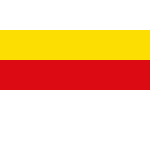 Vlag Münster 200x300cm
