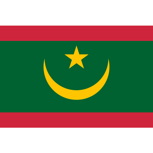 Vlaggetje Mauritanië 20x30cm