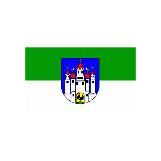 Vlag Meiningen 150x225cm