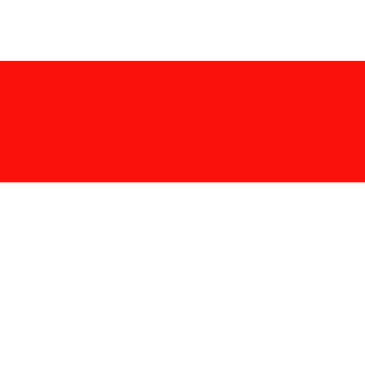 Vlag Minden 200x300cm