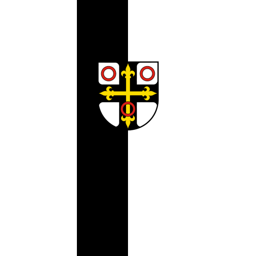 Vlag Neckarsulm 150x225cm