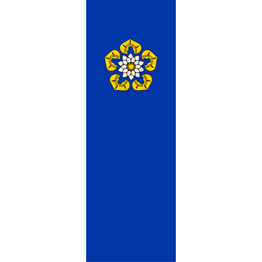 Vlag Nettetal 200x300cm