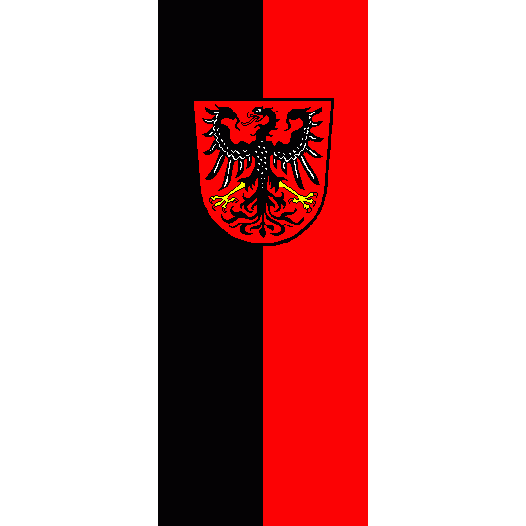 Vlag Neumarkt in der Oberpfalz 150x225cm