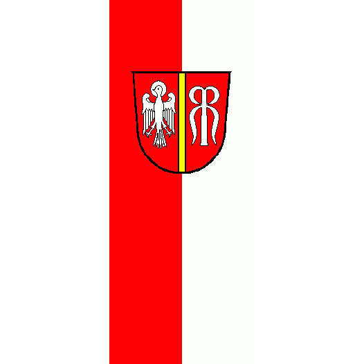 Vlag Neusäss 100x150cm