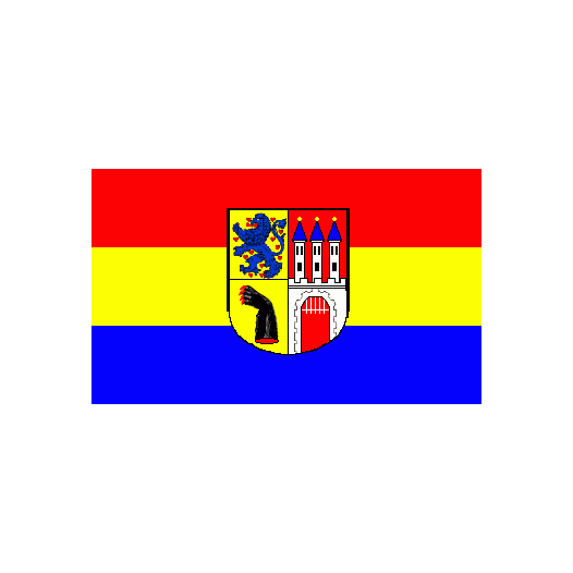 Vlag Nienburg 150x225cm