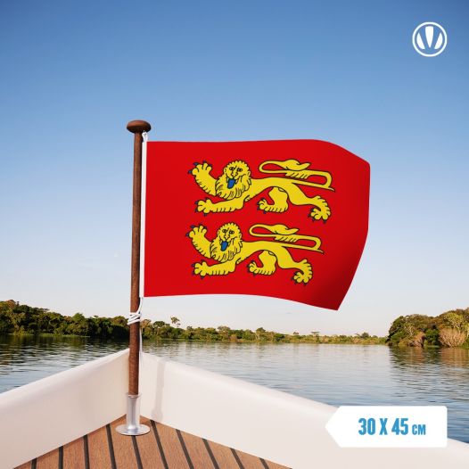 Vlag Normandie 30x45cm
