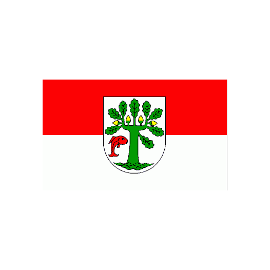 Vlag Oranienburg 200x300cm