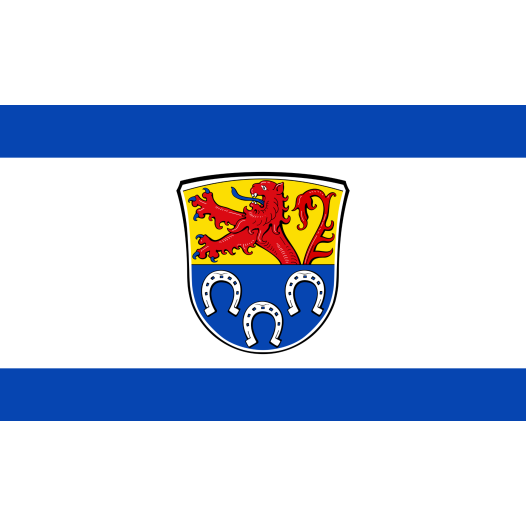 Vlag Pfungstadt 150x225cm