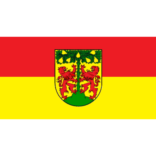 Vlag Pirna 200x300cm