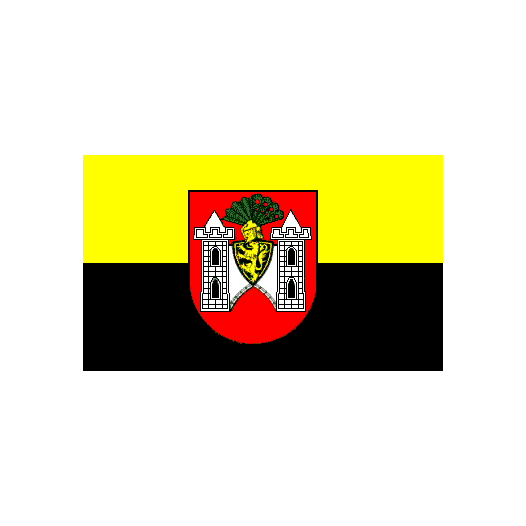 Vlag Plauen 200x300cm