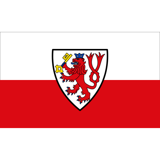 Vlag Radevormwald 200x300cm