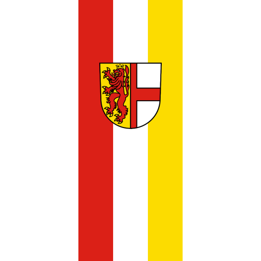 Vlag Radolfzell 100x150cm