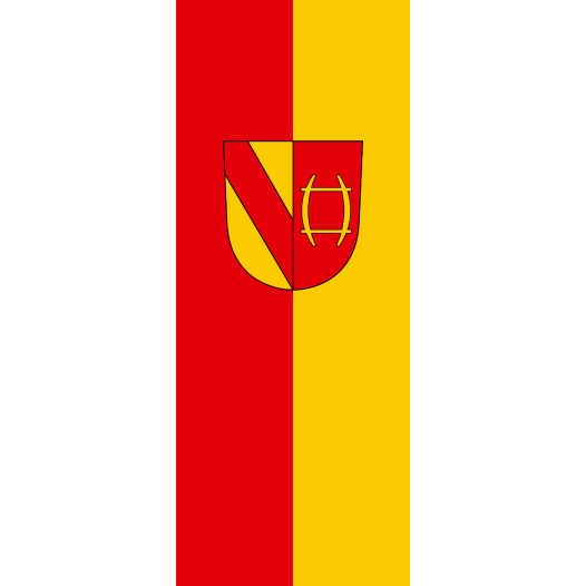 Vlag Rastatt 150x225cm