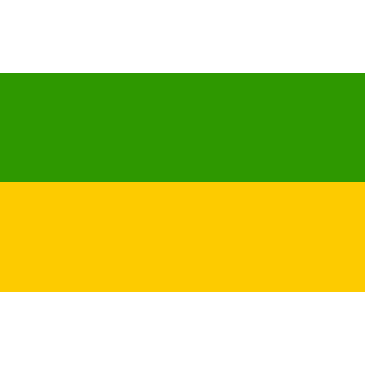 Vlag Recklinghausen 200x300cm