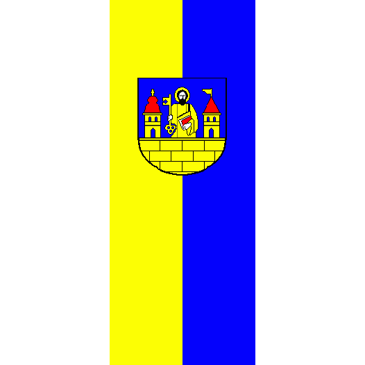 Vlag Reichenbach im Vogtland 200x300cm