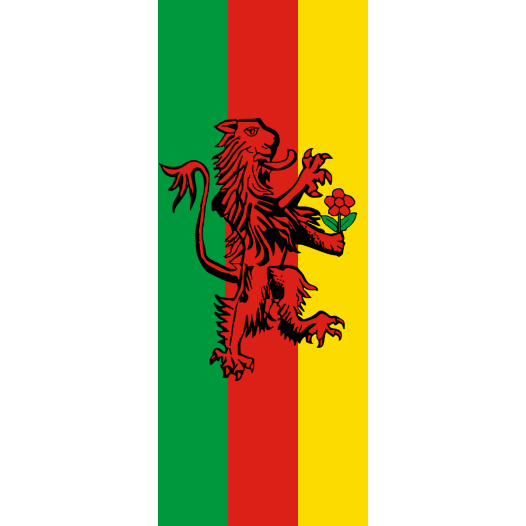 Vlag Rheinfelden 200x300cm