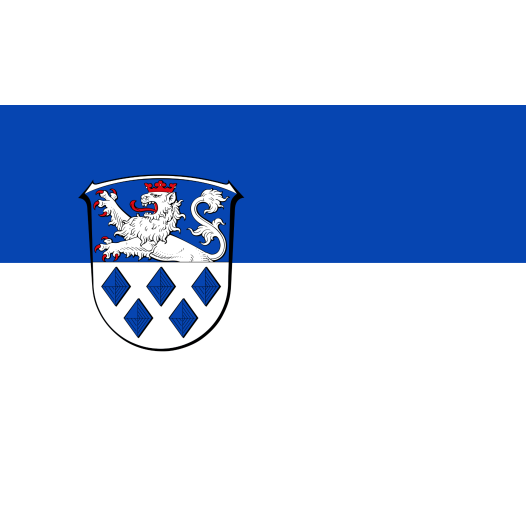 Vlag Riedstadt 100x150cm