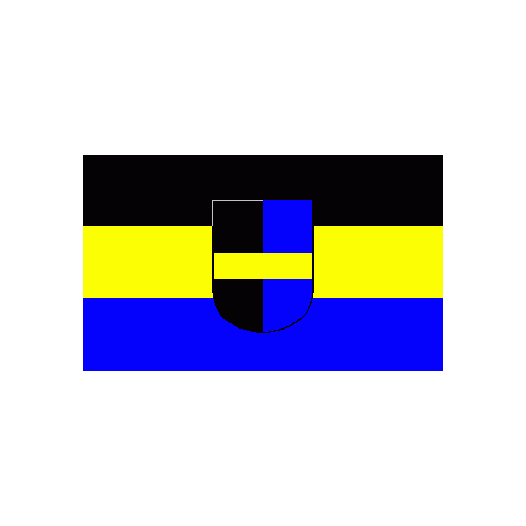 Vlag Ronnenberg 200x300cm