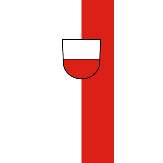 Vlag Rottenburg 150x225cm