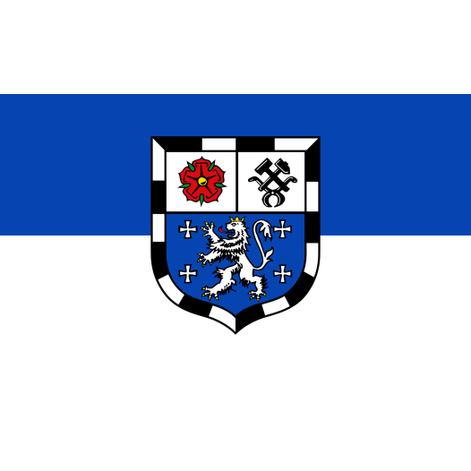 Vlag Saarbrücken 200x300cm