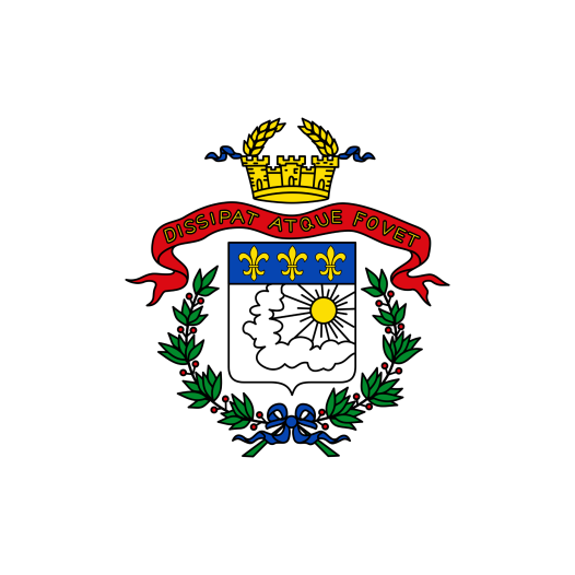 Vlag Saarlouis 150x225cm