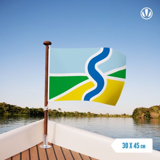 Vlag Salland 30x45cm