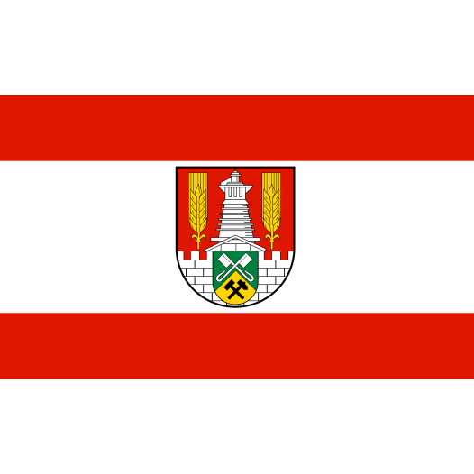 Vlag Salzgitter 200x300cm