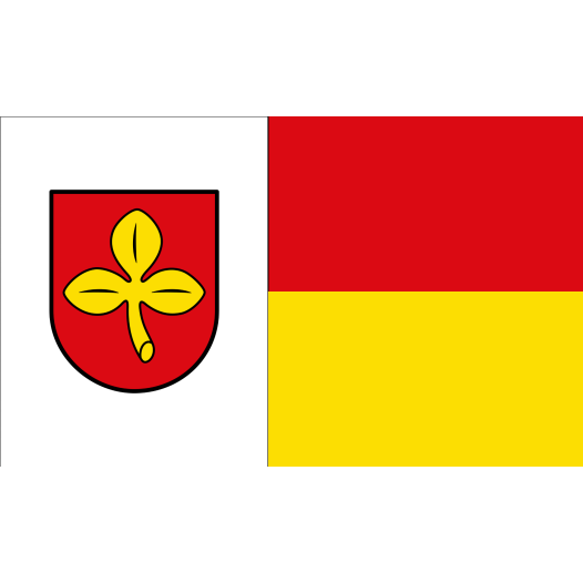 Vlag Salzkotten 200x300cm