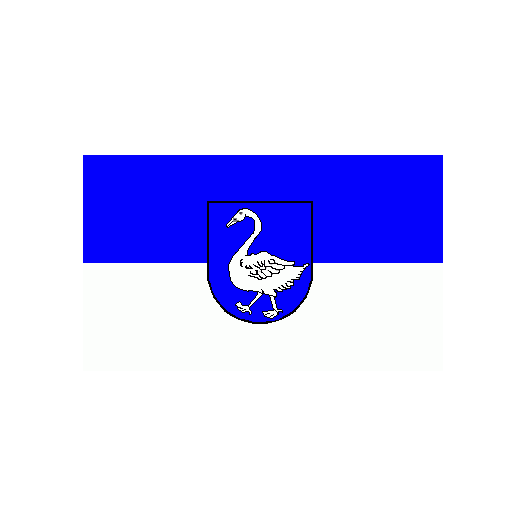 Vlag Schwanewede 200x300cm
