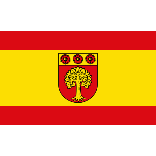 Vlag Selm 200x300cm