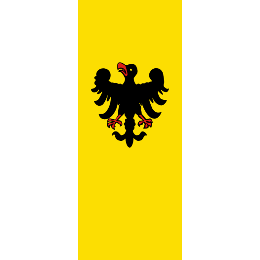 Vlag Sinsheim 100x150cm