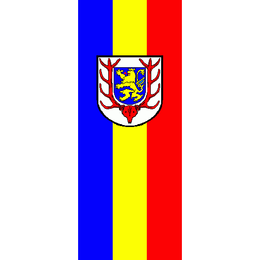 Vlag Sondershausen 100x150cm