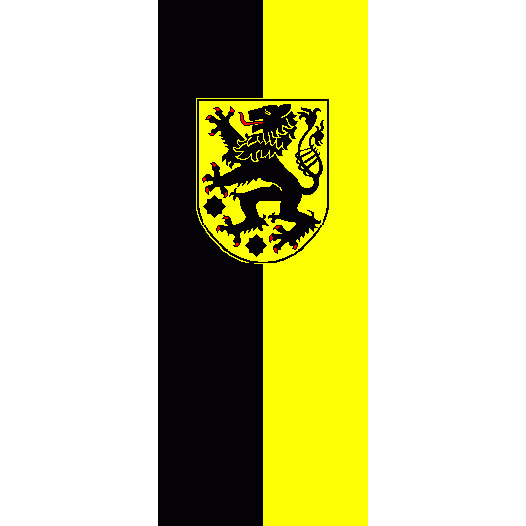 Vlag Sonneberg 200x300cm