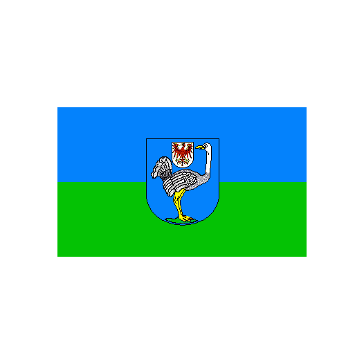 Vlag Strausberg 200x300cm