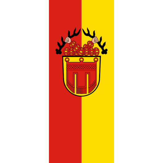 Vlag Tübingen 100x150cm