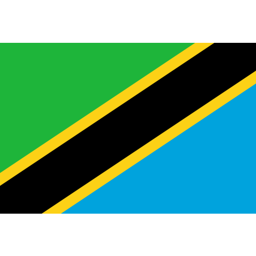 Vlaggetje Tanzania 20x30cm