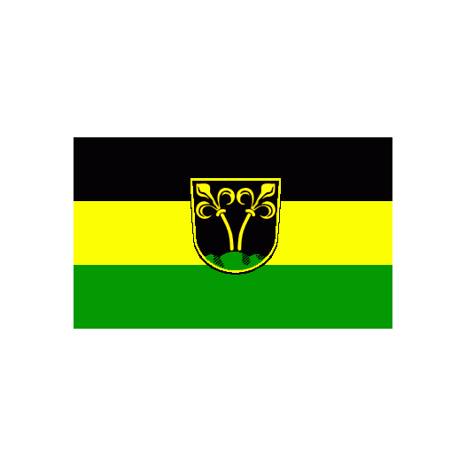 Vlag Traunstein 200x300cm
