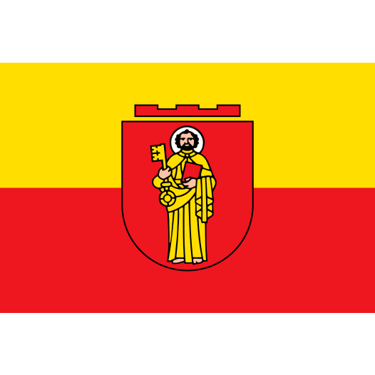 Vlag Trier 200x300cm