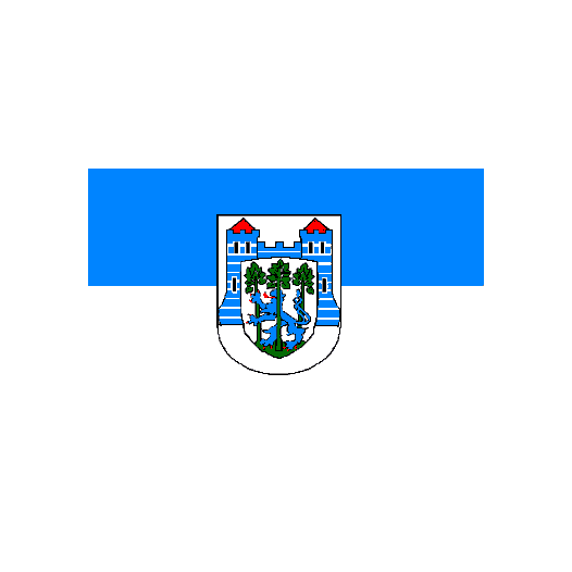 Vlag Uelzen 200x300cm