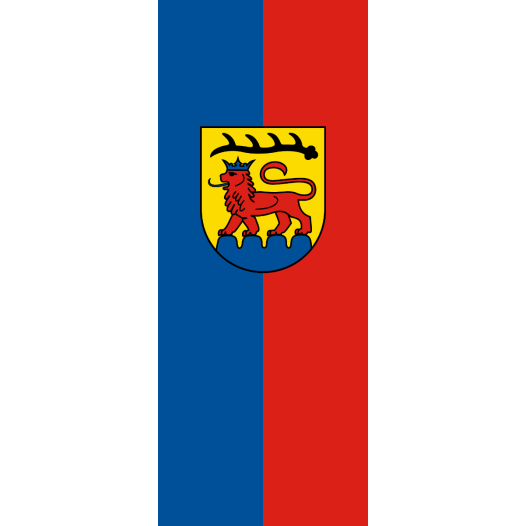 Vlag Vaihingen 100x150cm