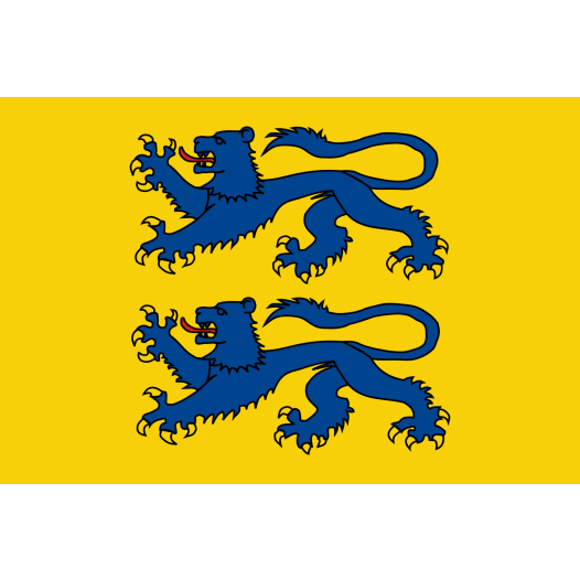 Vlag Zuid-Sleeswijk 200x300cm