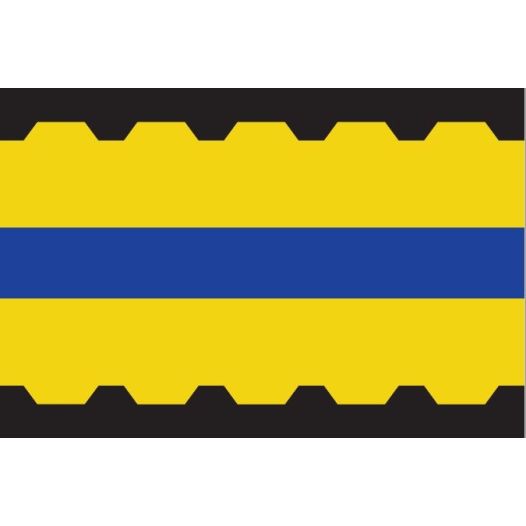 Vlag Veenendaal 30x45cm
