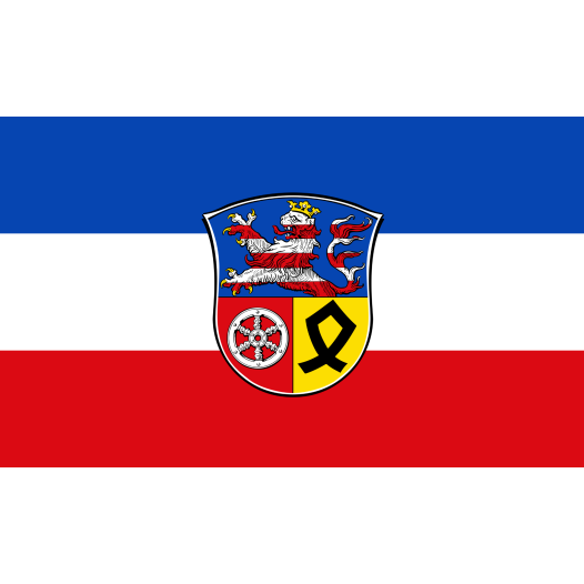 Vlag Viernheim 100x150cm