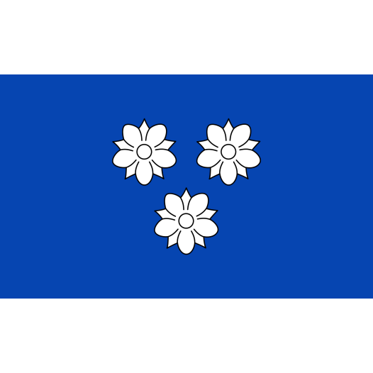 Vlag Viersen 100x150cm