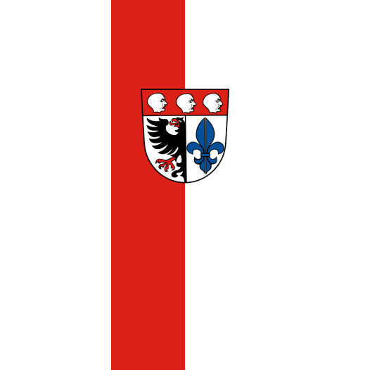 Vlag Wangen 150x225cm