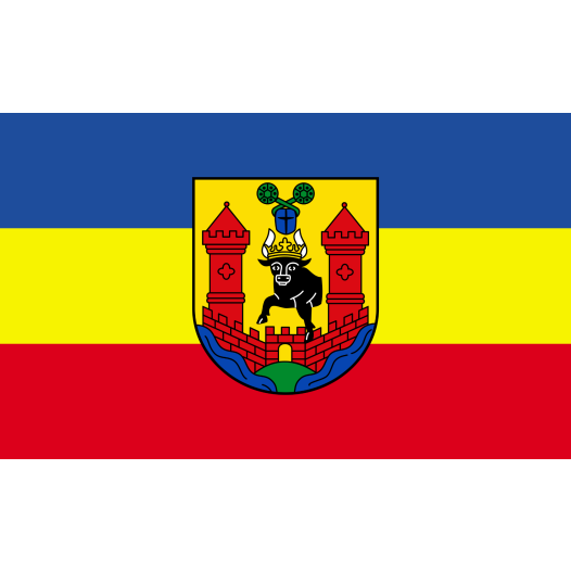 Vlag Waren 100x150cm