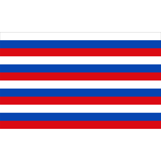 Vlag Warendorf 200x300cm